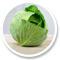 Cabbage